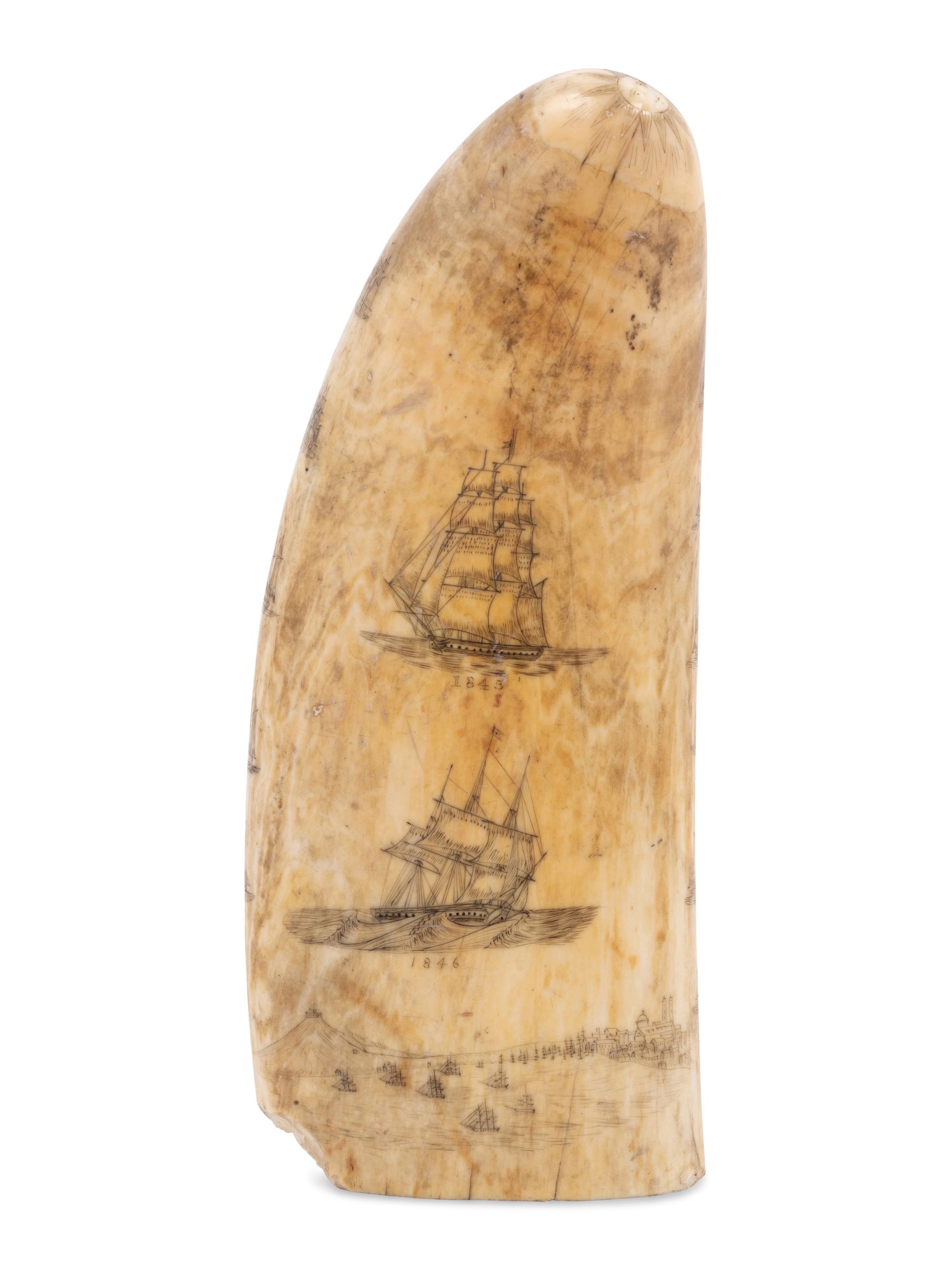 A Scrimshaw Whale Tooth