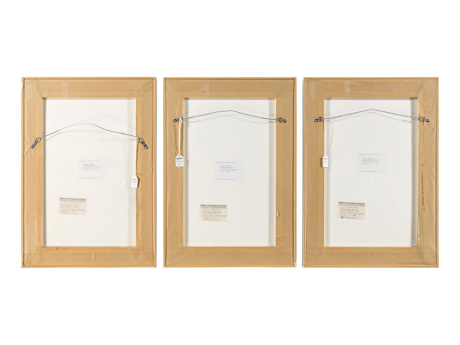 William Anastasi (born 1933) Autobodyography I-III, 1994