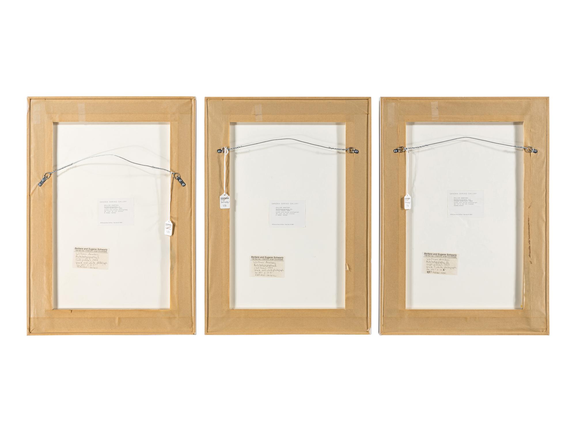 William Anastasi (born 1933) Autobodyography I-III, 1994