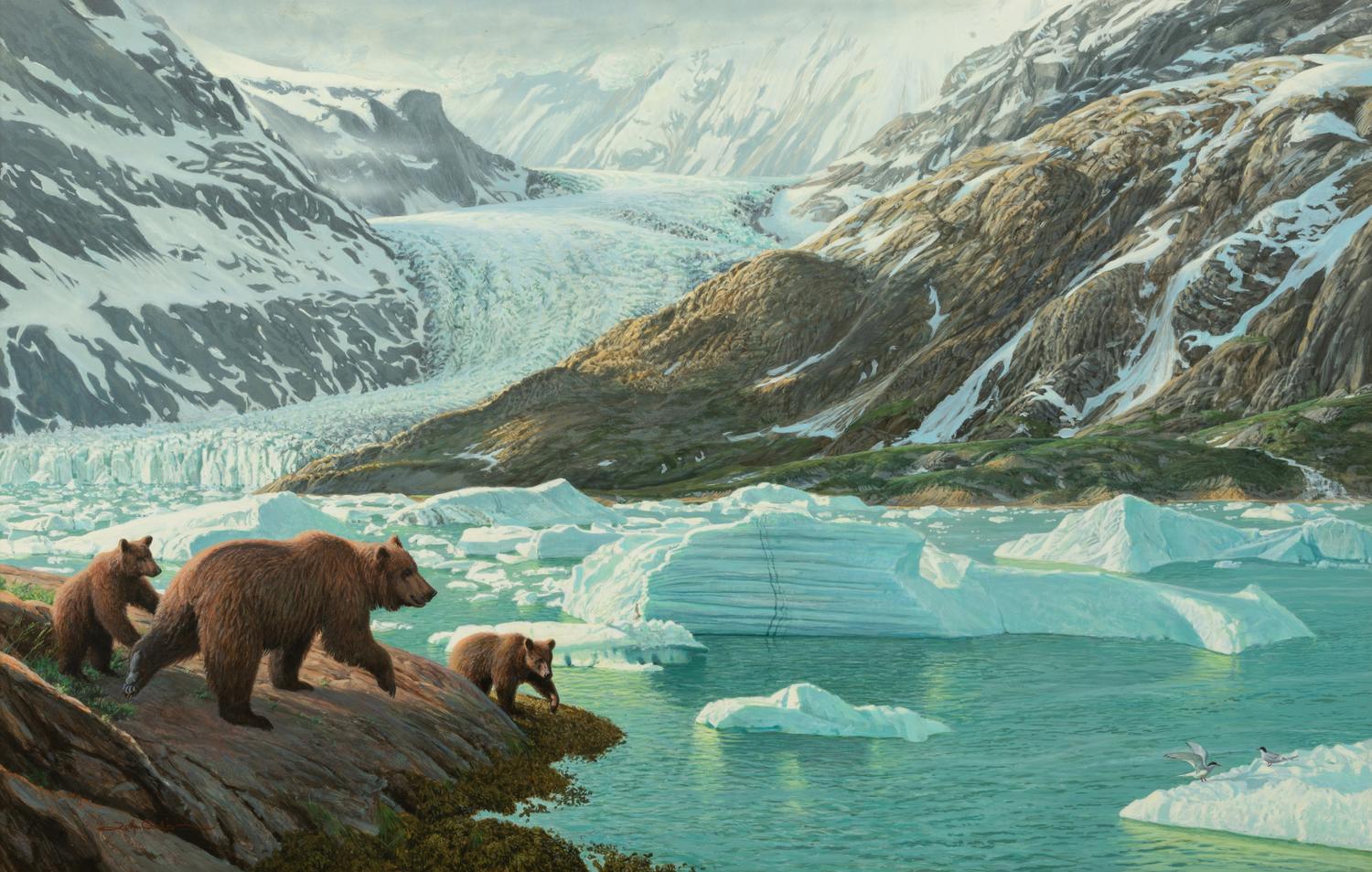Glacier Bay Bears , 1995
