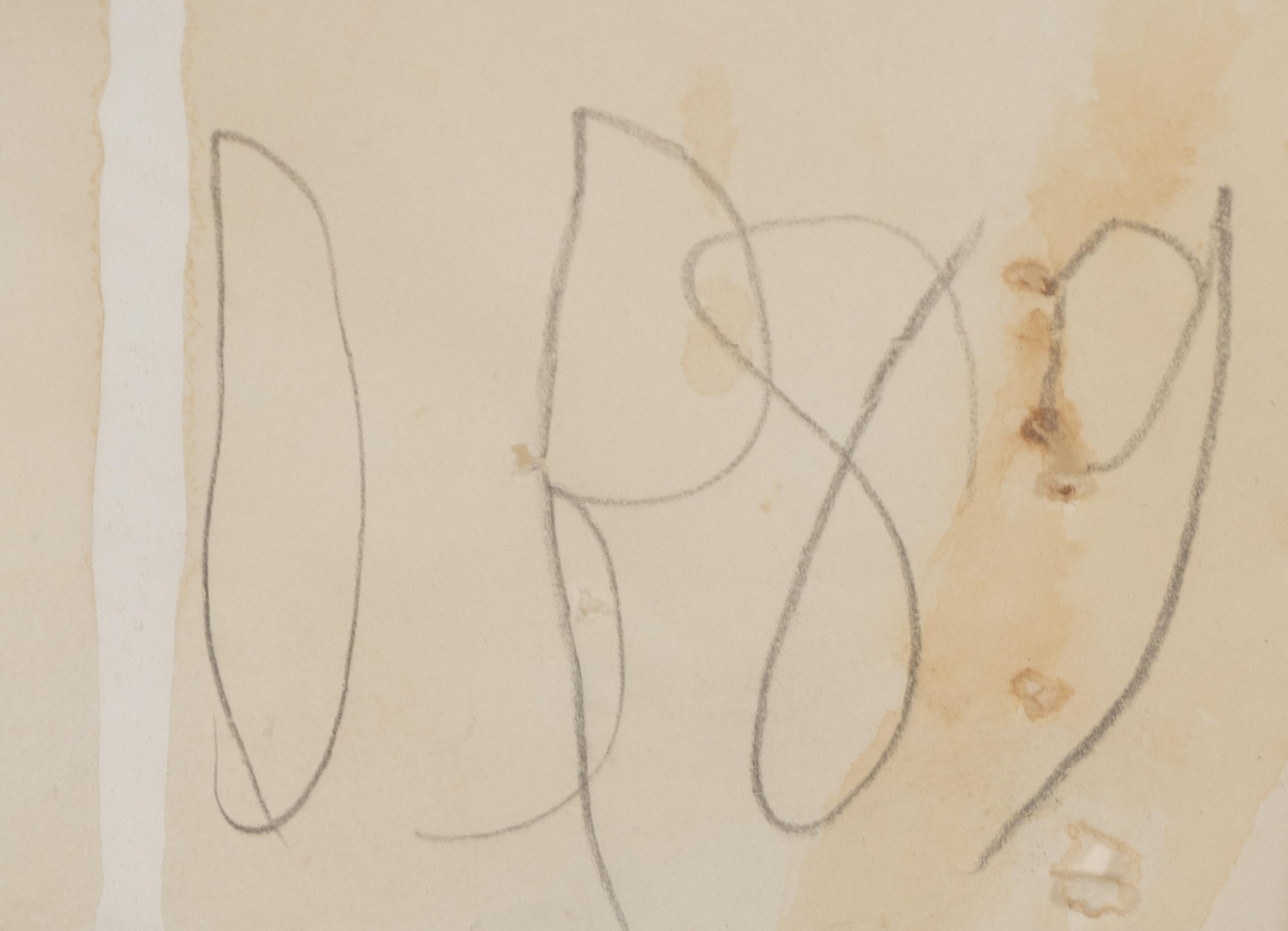 Tulips, 1989