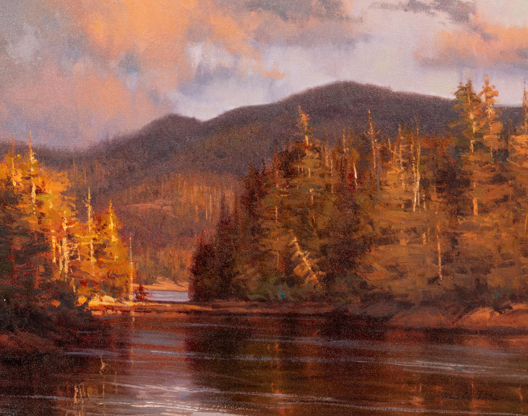 Light After the Storm