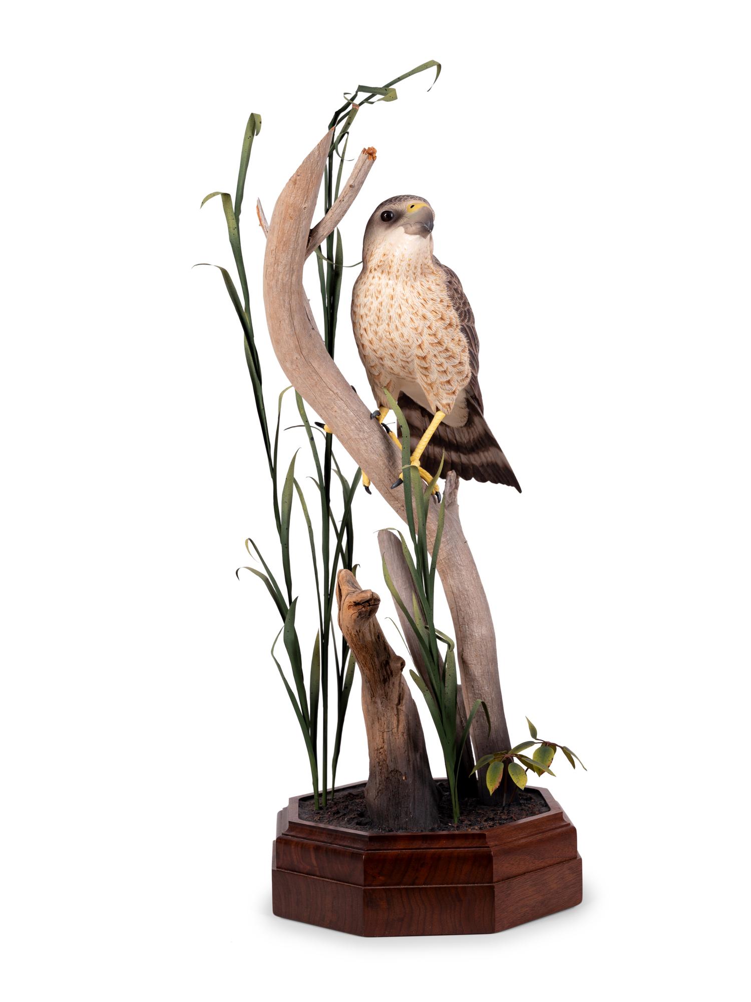 Bird on Branch