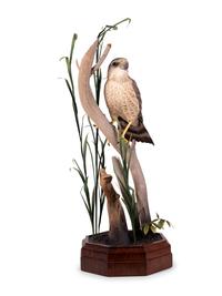 Bird on Branch