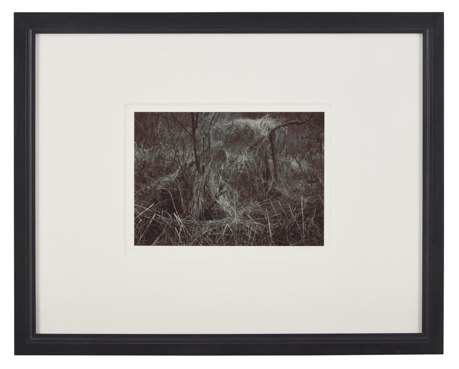 A Quality of Dancing, Millersdale, Derbyshire, England, 1983 and Ceremonial Veil, Nesscliffe, Shropshire, England, 1976 (two works)