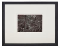 A Quality of Dancing, Millersdale, Derbyshire, England, 1983 and Ceremonial Veil, Nesscliffe, Shropshire, England, 1976 (two works)