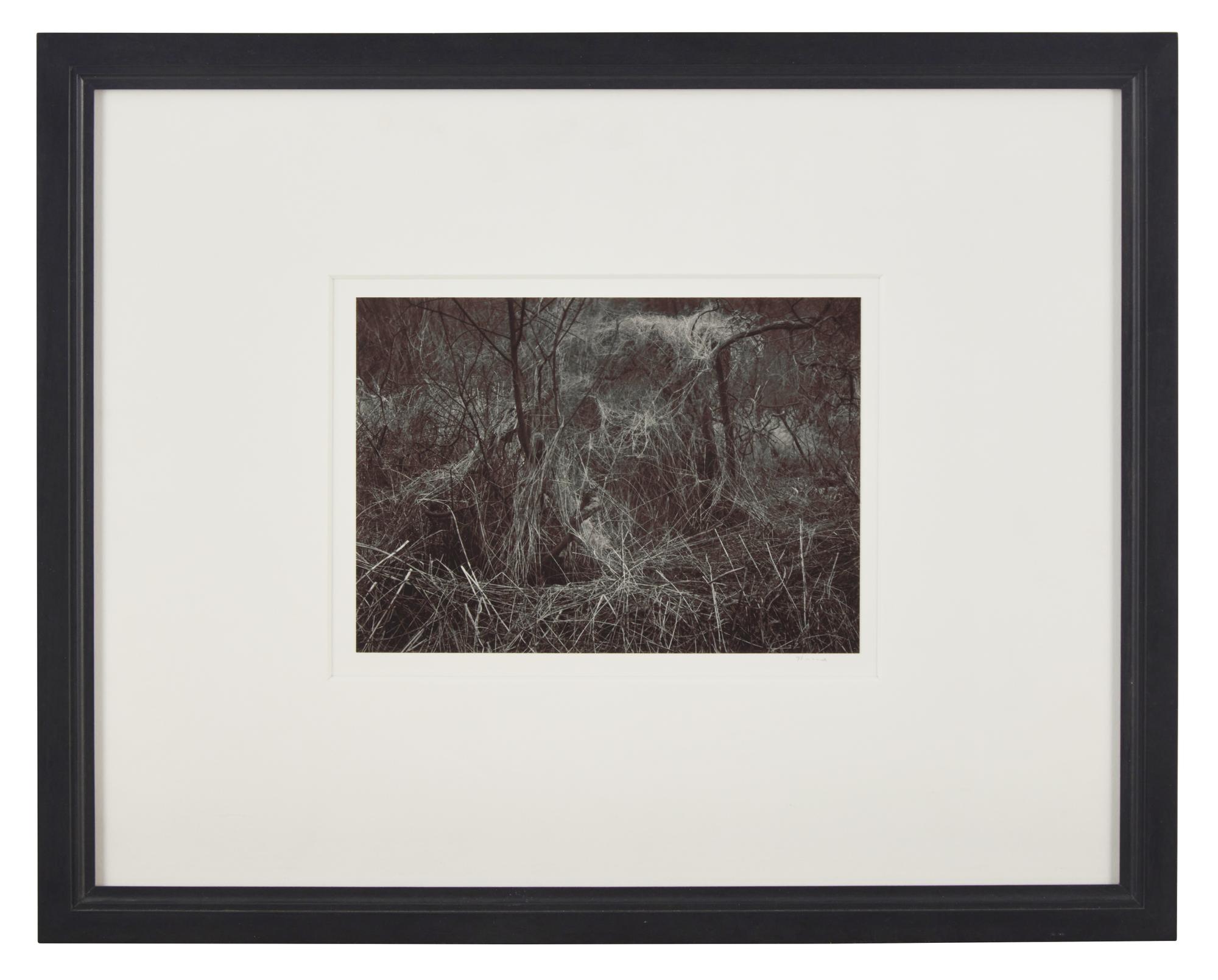 A Quality of Dancing, Millersdale, Derbyshire, England, 1983 and Ceremonial Veil, Nesscliffe, Shropshire, England, 1976 (two works)