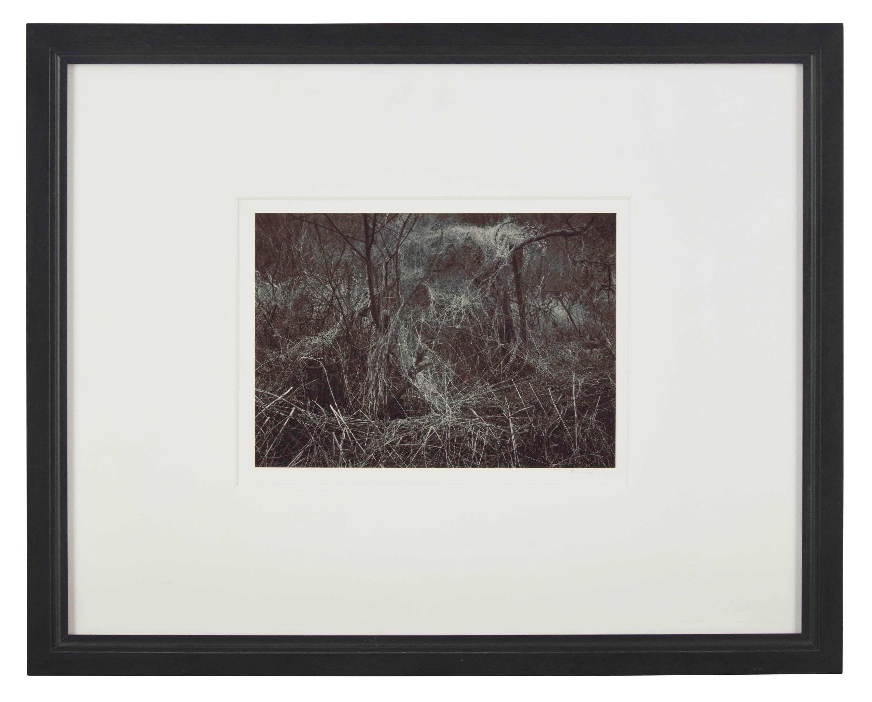 A Quality of Dancing, Millersdale, Derbyshire, England, 1983 and Ceremonial Veil, Nesscliffe, Shropshire, England, 1976 (two works)