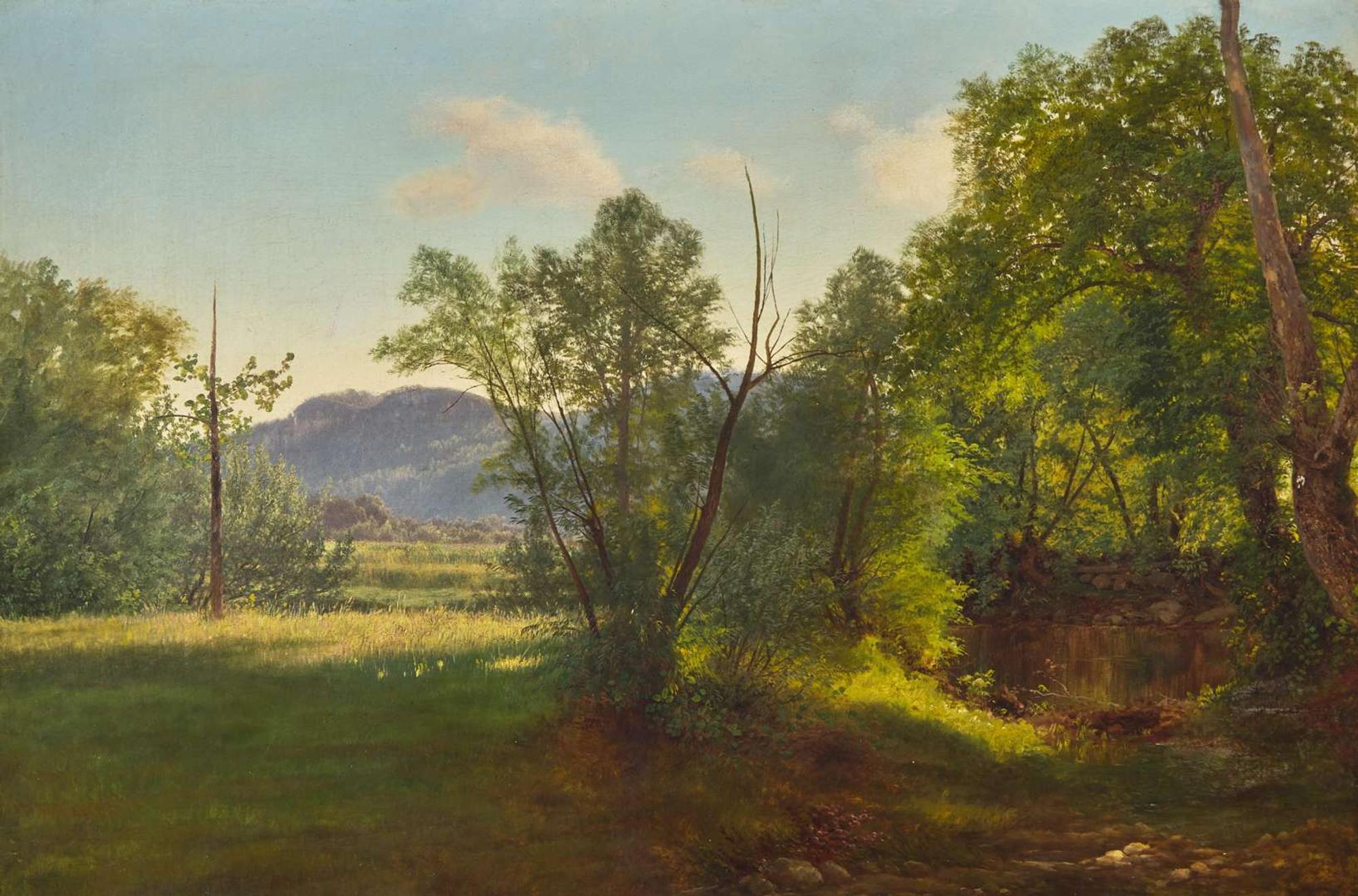 Mountainous River Landscape
