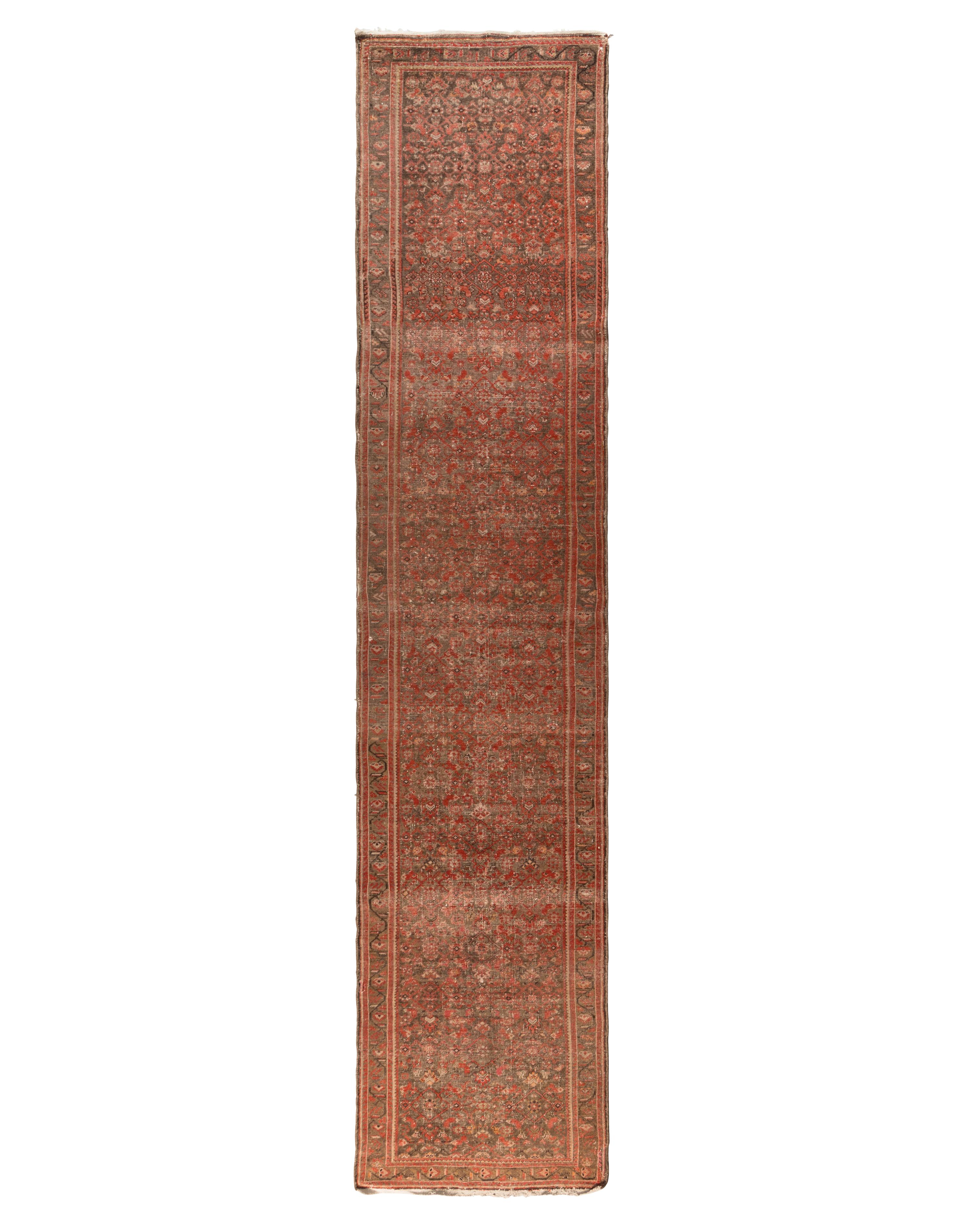 A Malayer Runner