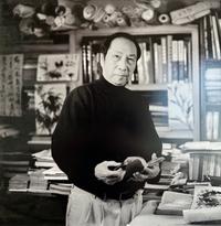 [SU SHI] Su Wen Zhong Gong Shi Ji. 24 volumes, 50 juan 紀曉嵐評點《蘇文忠公詩集》五十卷二十四冊全，粵東省城翰墨園藏板，朱墨套印本