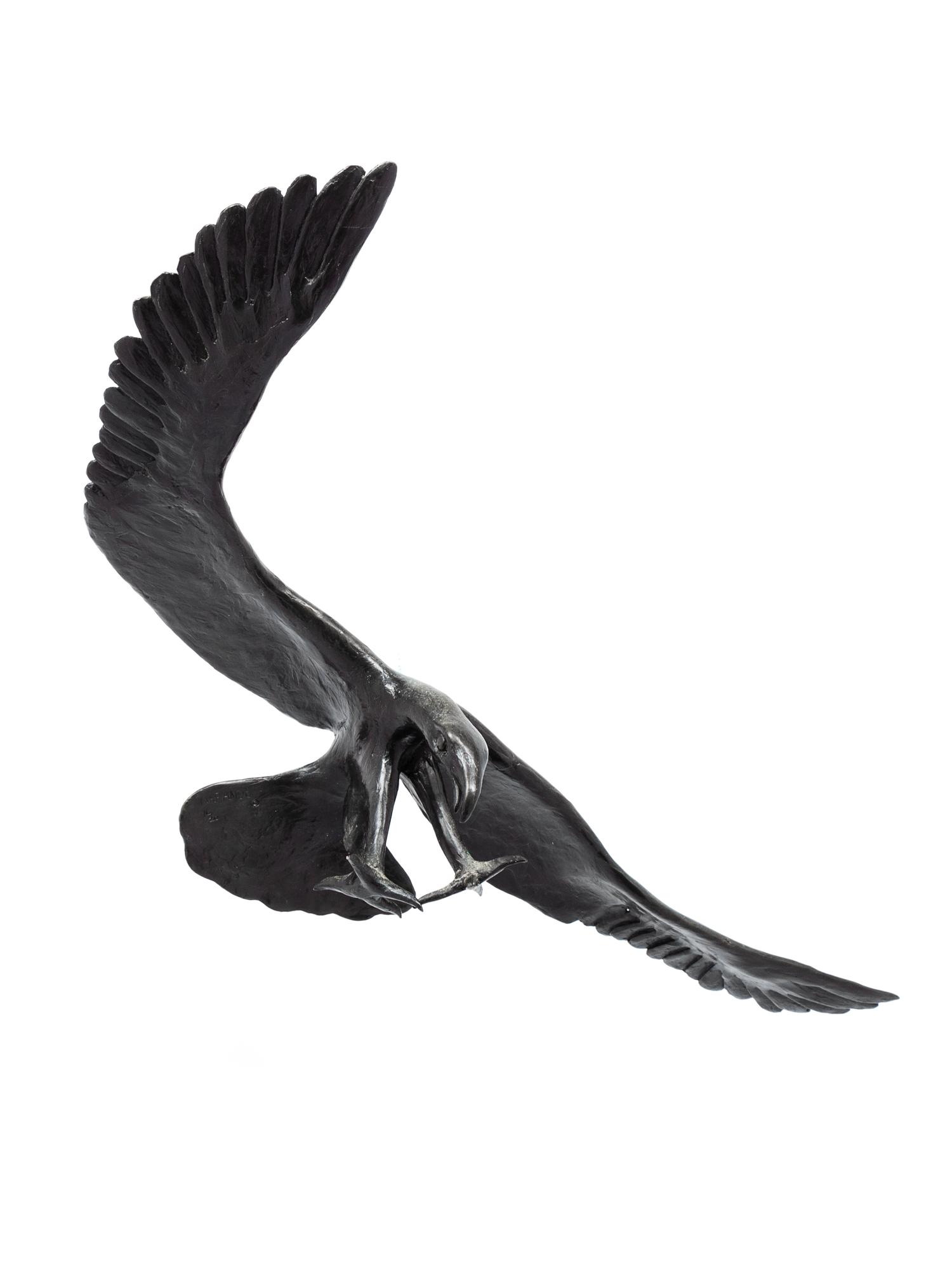 Eagle, edition 16/20