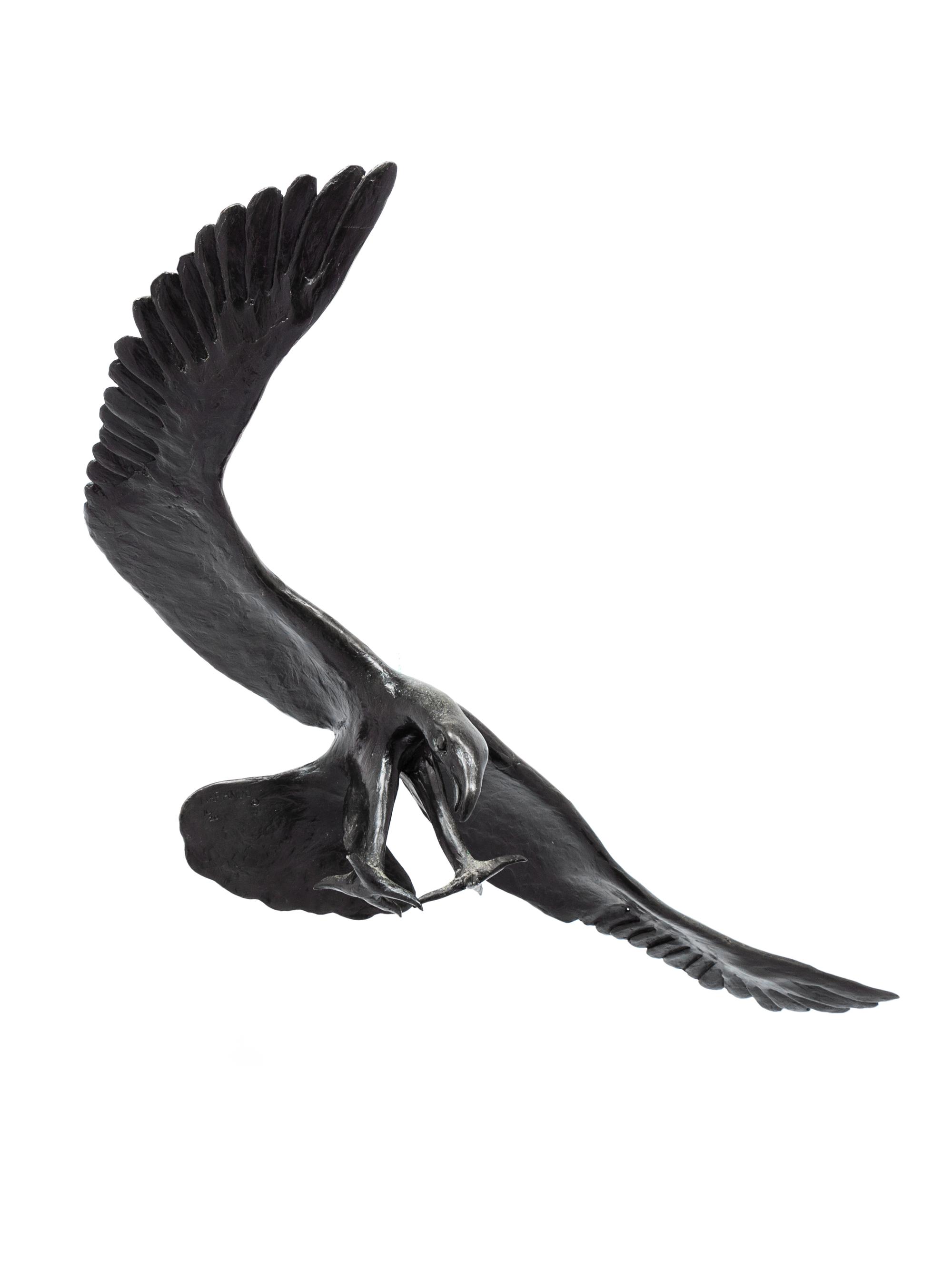 Eagle, edition 16/20