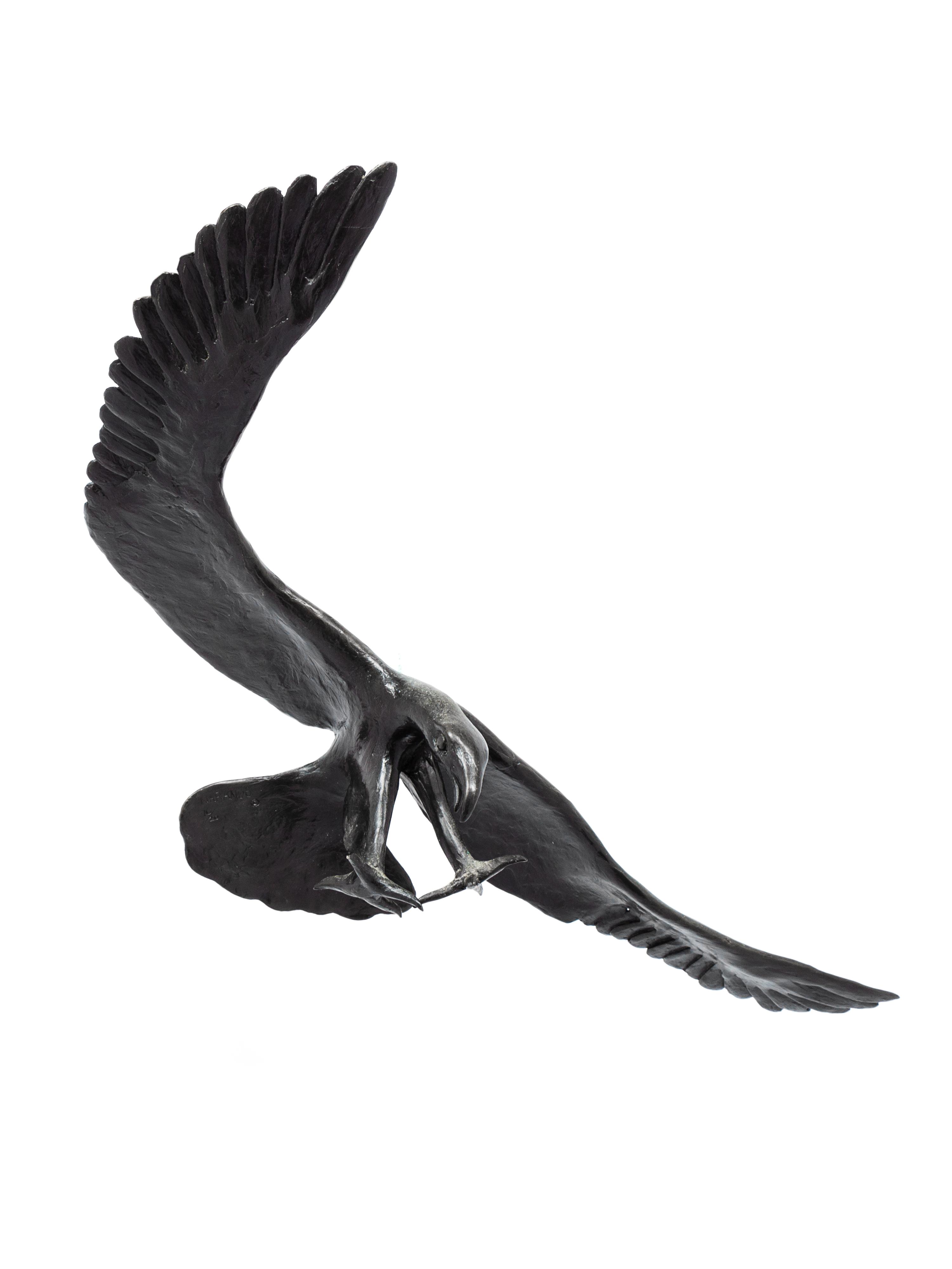 Eagle, edition 16/20