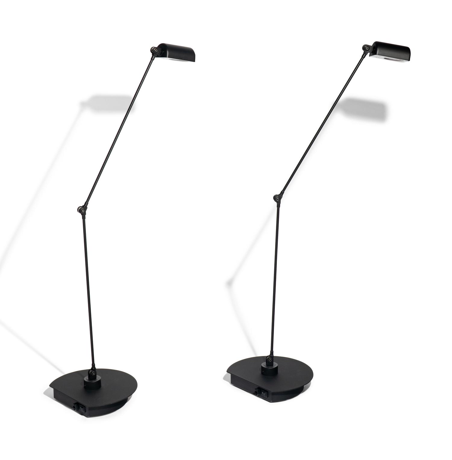 A Pair of Daphine Cloe Table Lamps Lumina