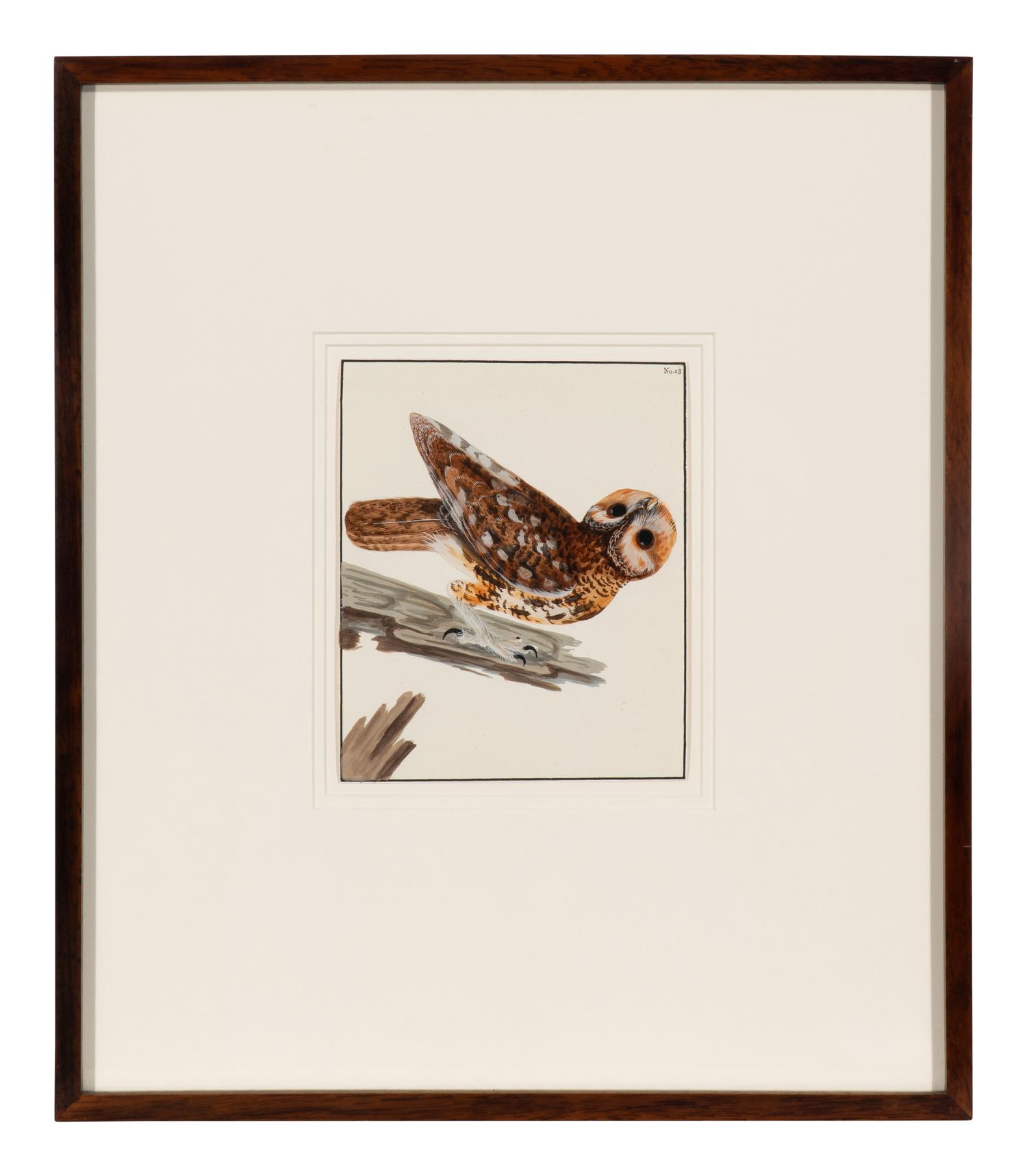 Six Bird Portraits