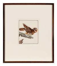 Six Bird Portraits