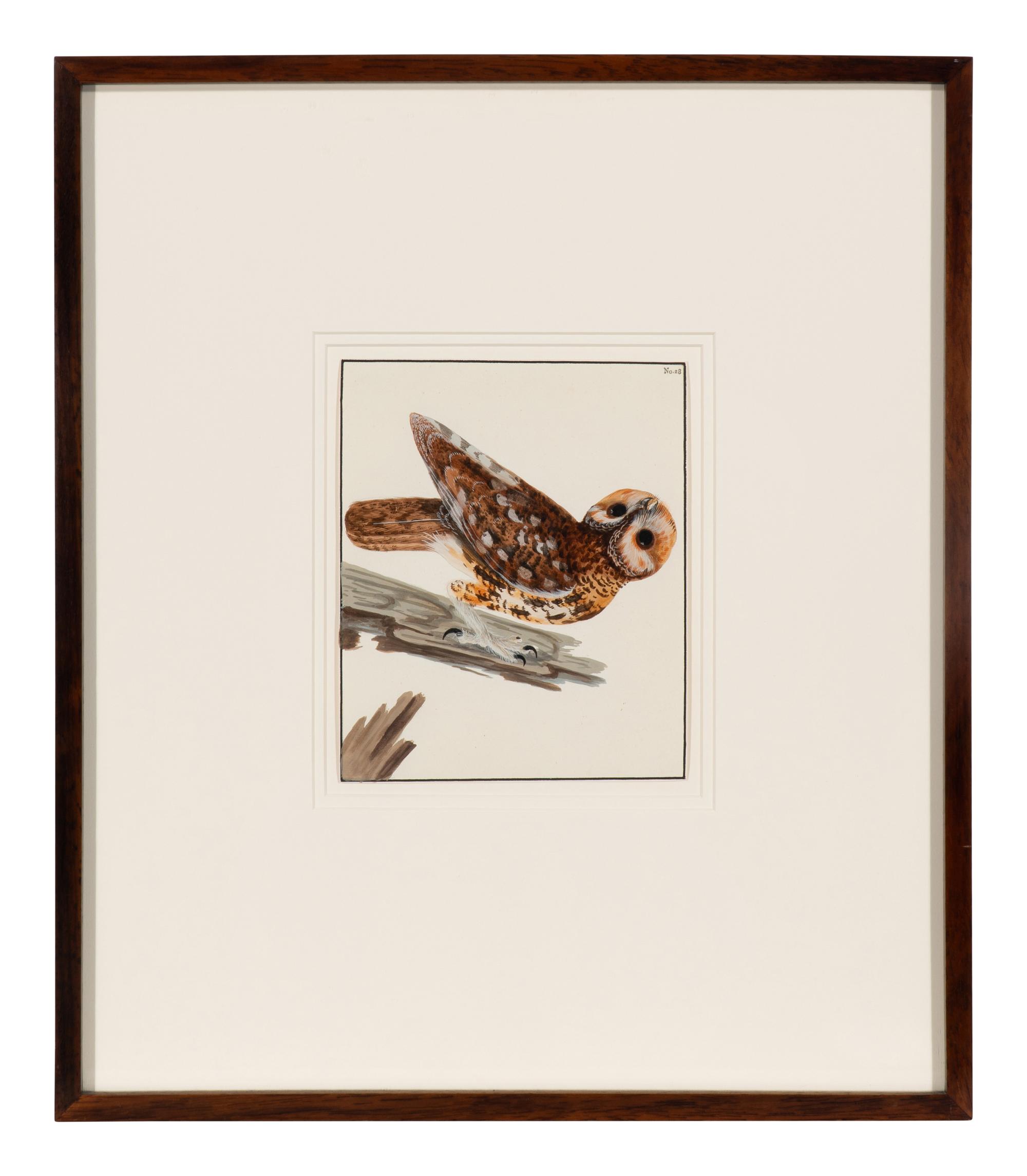 Six Bird Portraits
