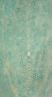 A Green Shagreen and Wood Vase by R and Y Augousti, London.