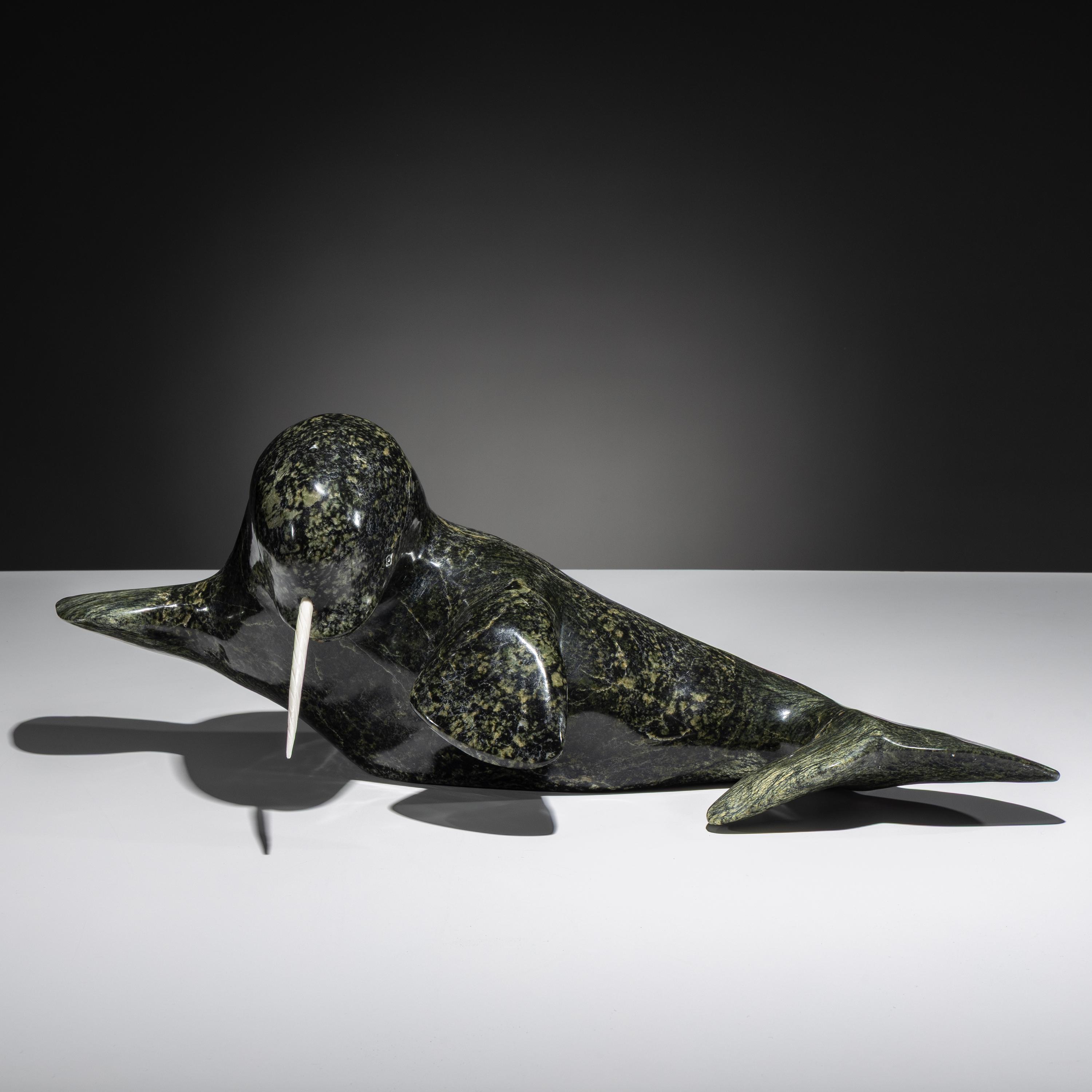 Narwhal