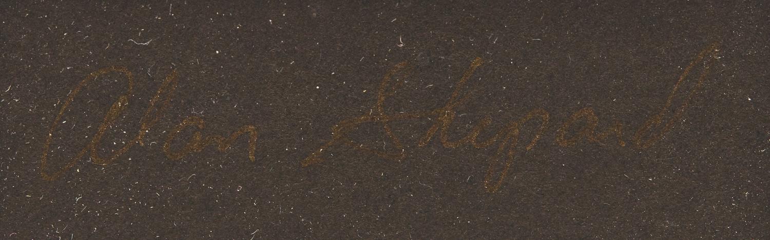 [Travel & Exploration] Group of 12 Signatures of NASA Apollo Missions Moonwalkers