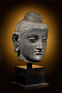 A Gandharan Grey Schist Head of Buddha Shakyamuni