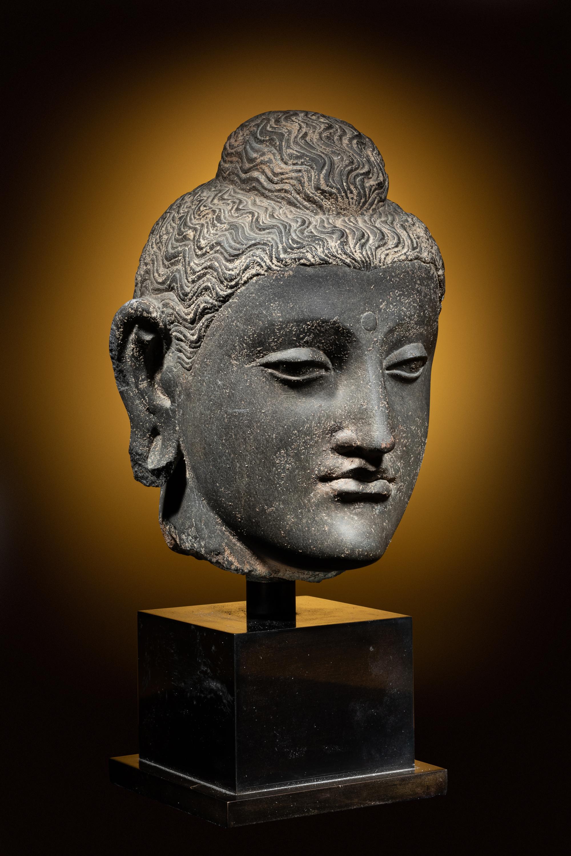 A Gandharan Grey Schist Head of Buddha Shakyamuni