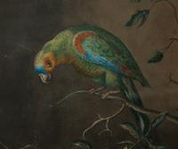 A Parrot with Shells and Roses