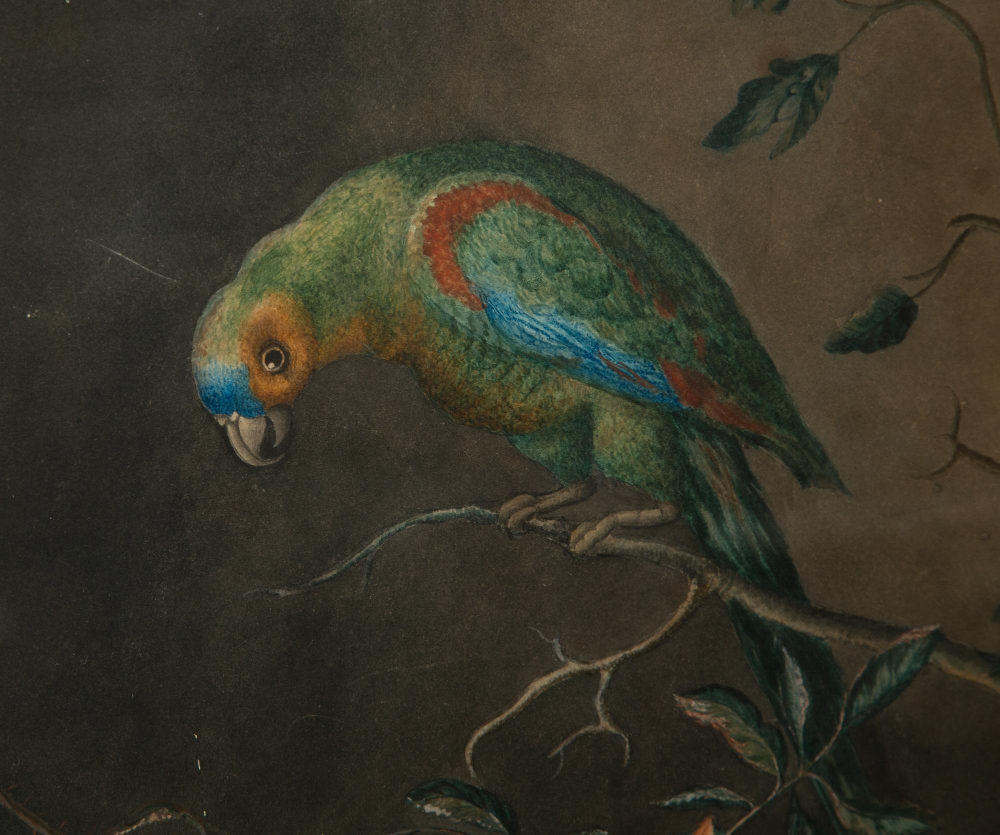 A Parrot with Shells and Roses