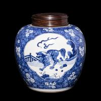 A Chinese Blue and White Porcelain Jar