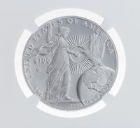 A Pair of United States 2015-W First Release $100 Platinum Proofs