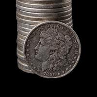 A Group of Twenty Morgan $1 Coins