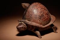 A Colima Terracotta Turtle Vessel