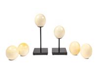 Two Ostrich Egg Table Lamps