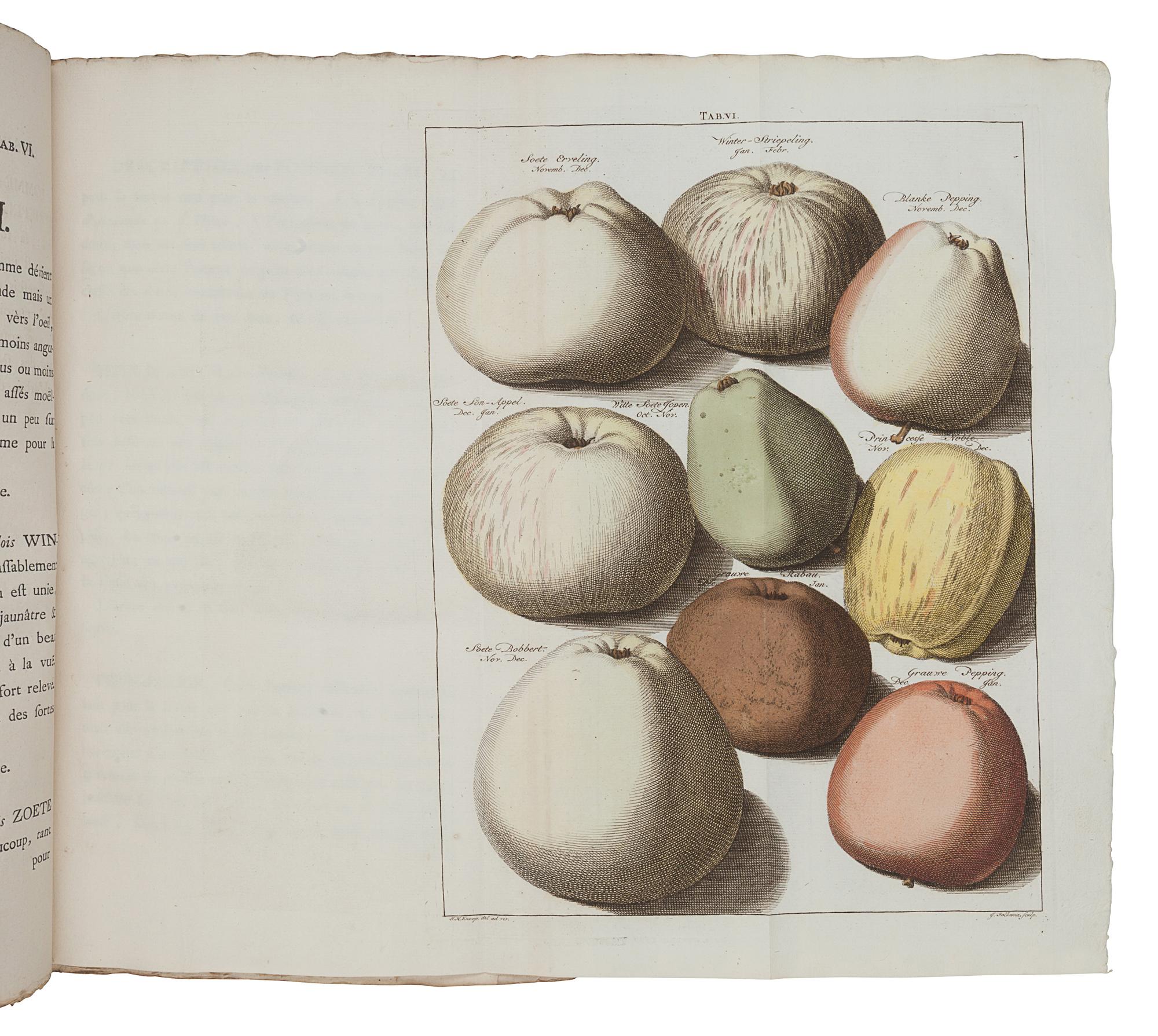 KNOOP, Johann Hermann (ca 1706-1769). Pomologie, ou Description des Meilleures Sortes de Pommes et de Poires. [Bound with:] Fructologie, ou Description des Arbres Fruitiers . Amsterdam: M. Magérus, 1771.