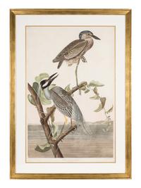 AUDUBON, John James (1785-1851)