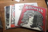 A Collection of Record Albums