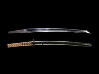 A Wakizashi