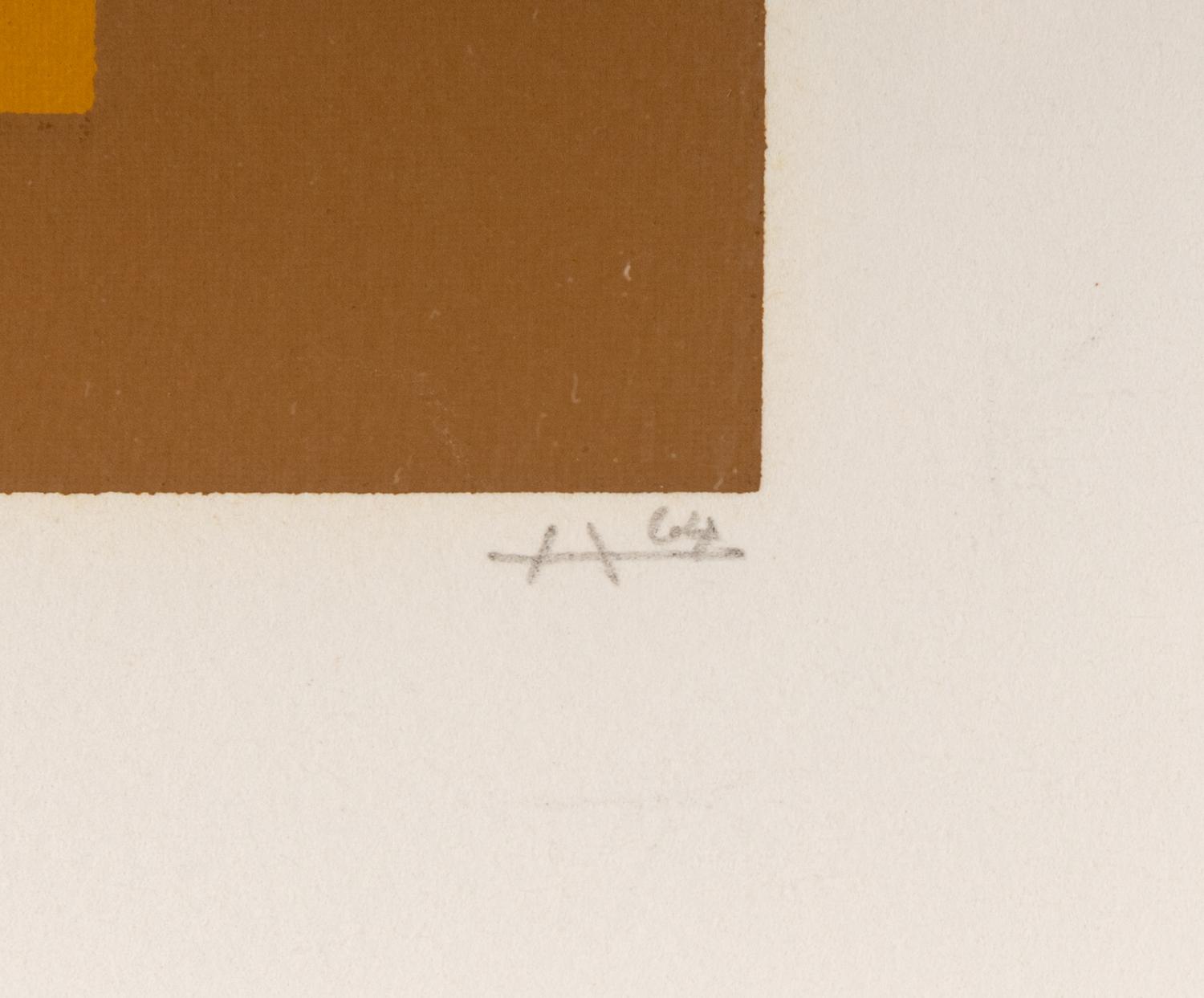 Untitled (from Hommage au carré )