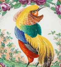 A Pair of Porcelain Plates Painted with Exotic Birds