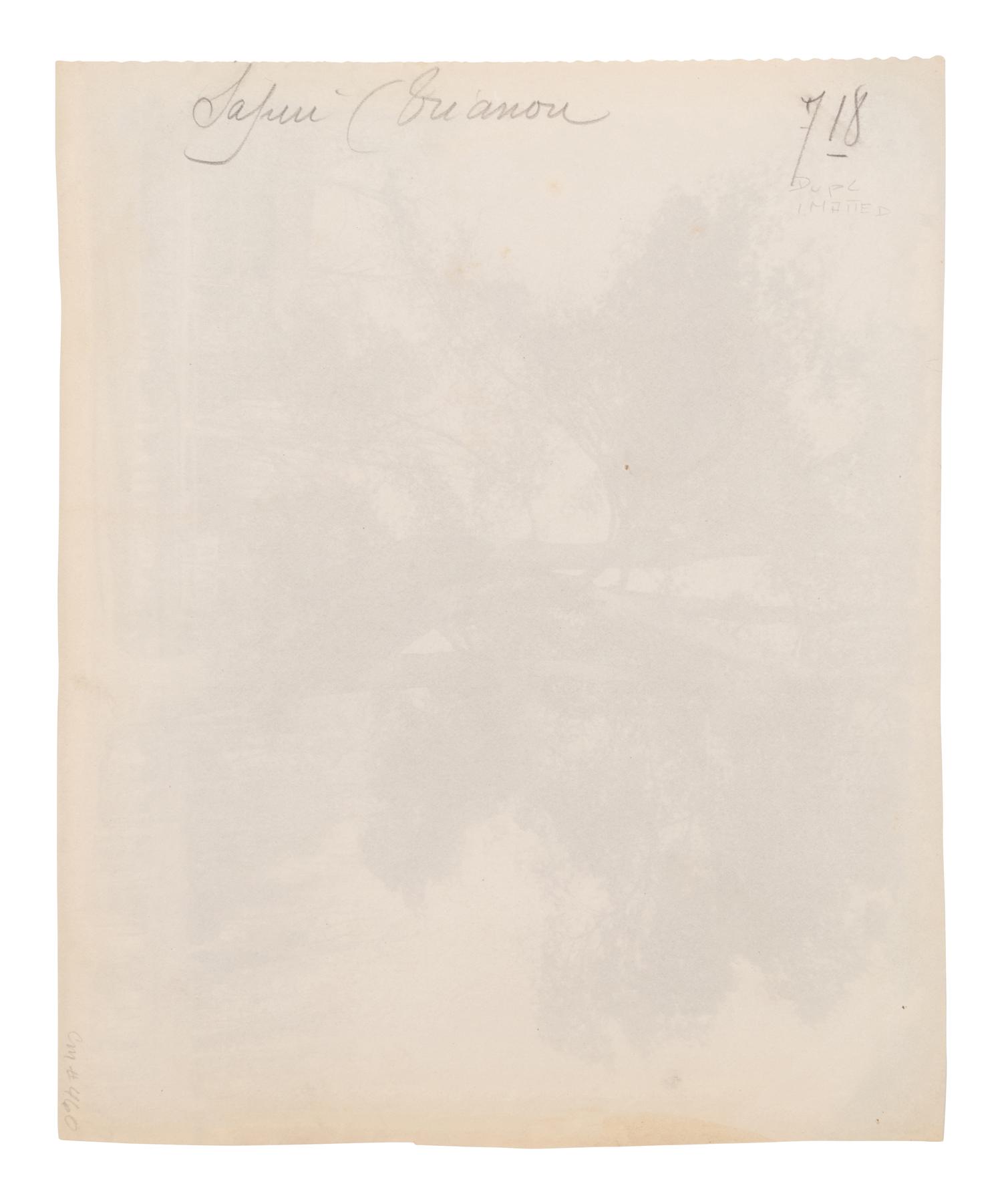 A group of four photographs ( Cactus [Nice], before 1900 ; Pommiers [et blés] , 1910 or earlier; Sapin ([Petit] Trianon , 1910 or earlier; Palmier , before 1900)