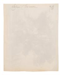A group of four photographs ( Cactus [Nice], before 1900 ; Pommiers [et blés] , 1910 or earlier; Sapin ([Petit] Trianon , 1910 or earlier; Palmier , before 1900)