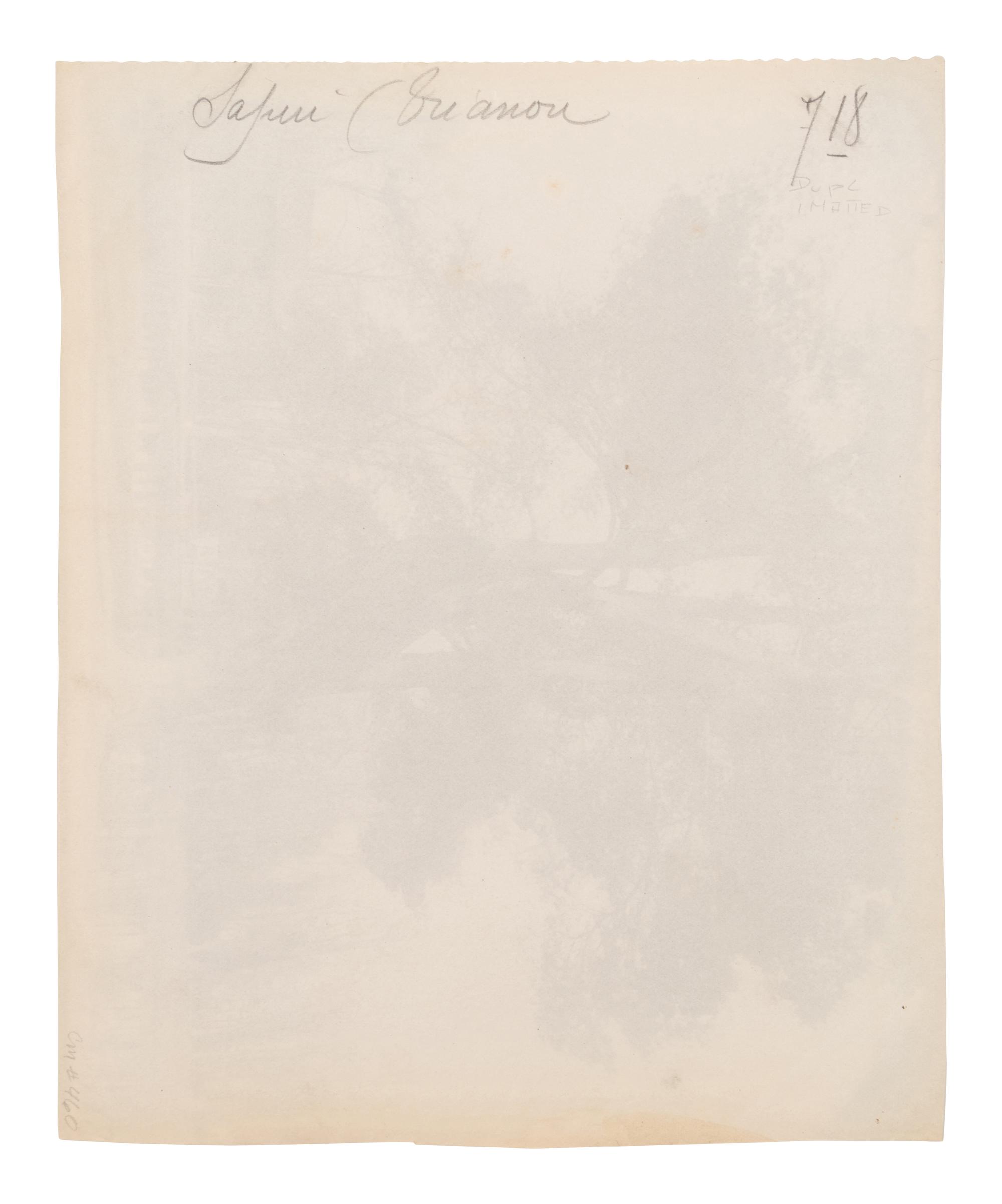 A group of four photographs ( Cactus [Nice], before 1900 ; Pommiers [et blés] , 1910 or earlier; Sapin ([Petit] Trianon , 1910 or earlier; Palmier , before 1900)