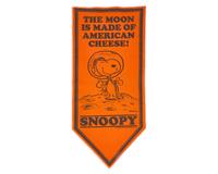 [Space] Schulz, Charles, and Alan Bean, and Dick Gordon, and Charles Conrad, et al. Signed Snoopy Doll
