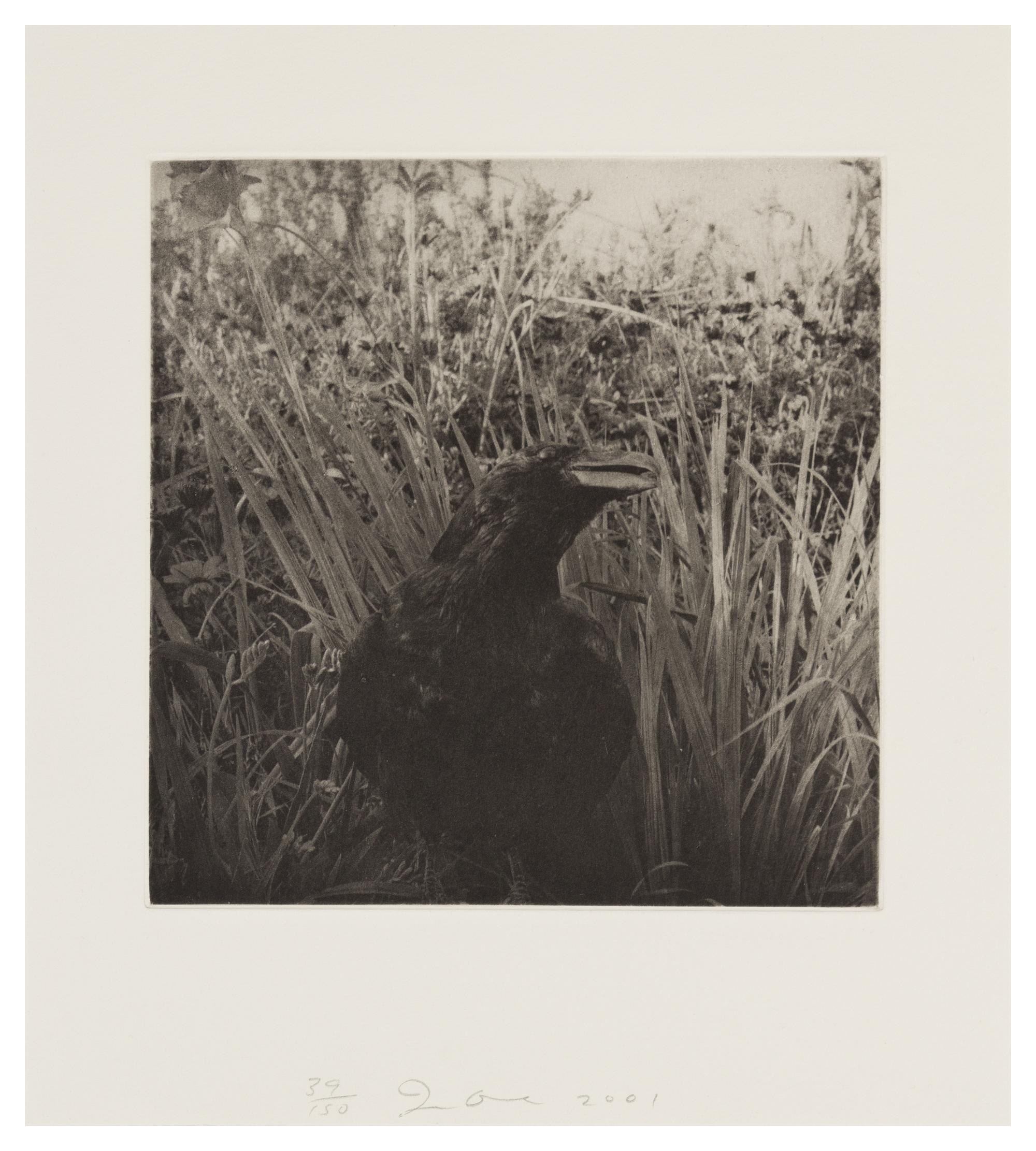 Jim Dine, (American, b. 1935), Birds, 2001 (together with bound book of 36 heliogravures with original slip case)