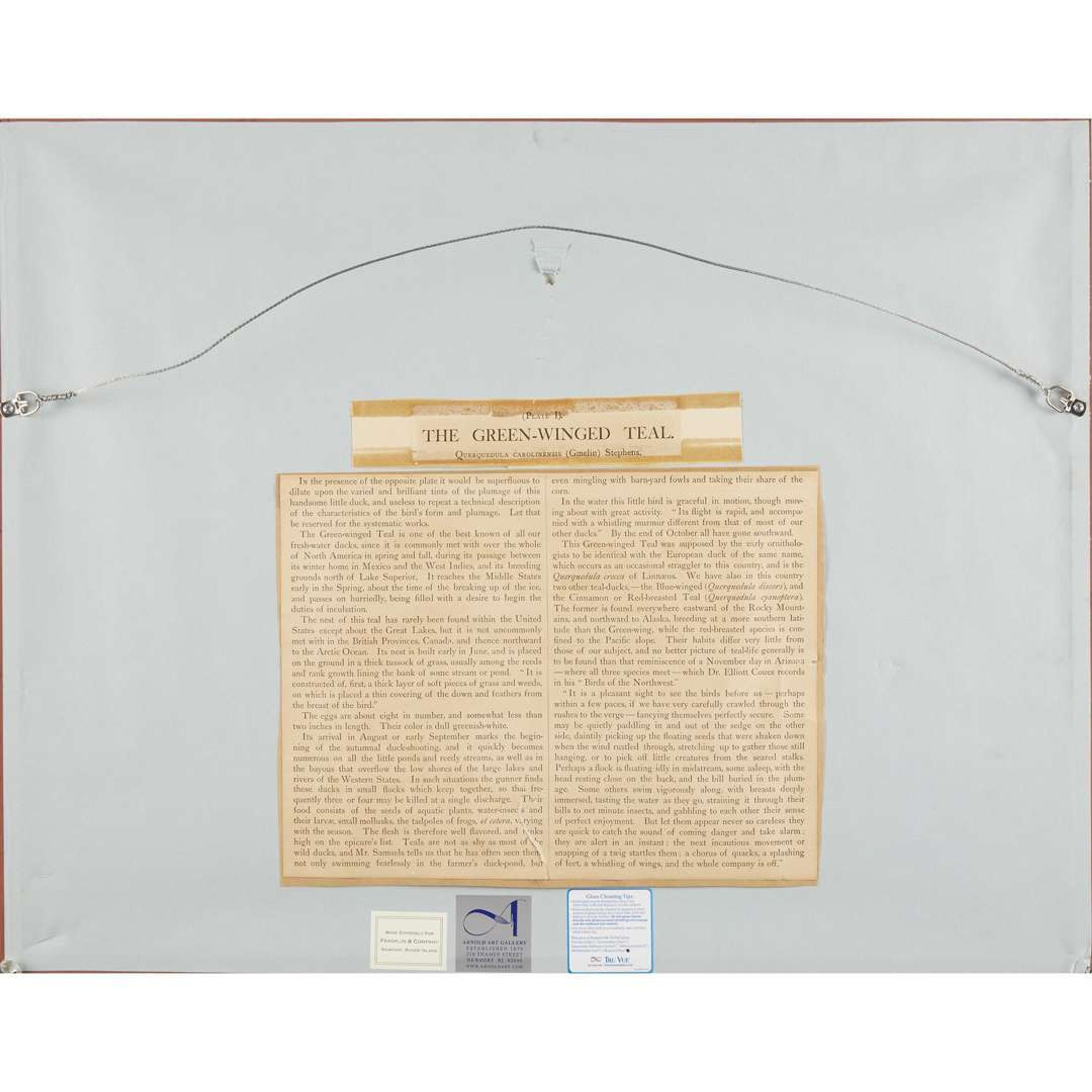 ALEXANDER POPE JUNIOR (AMERICAN 1849-1924) "BLACK DUCK" FROM UPLAND GAME BIRDS AND WATERFOWL OF THE UNITED STATES