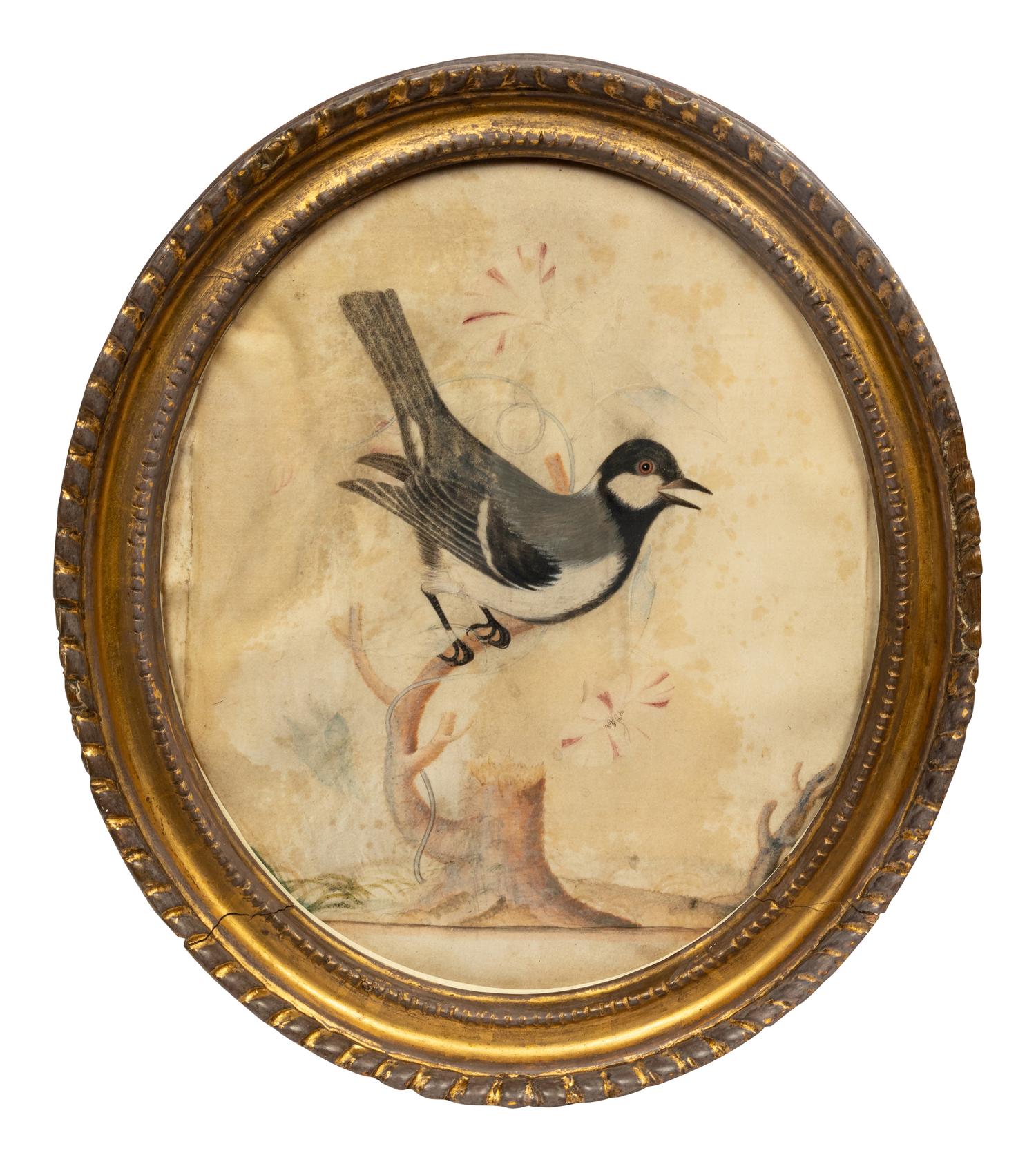 James Bolton (British, c. 1740-1799)