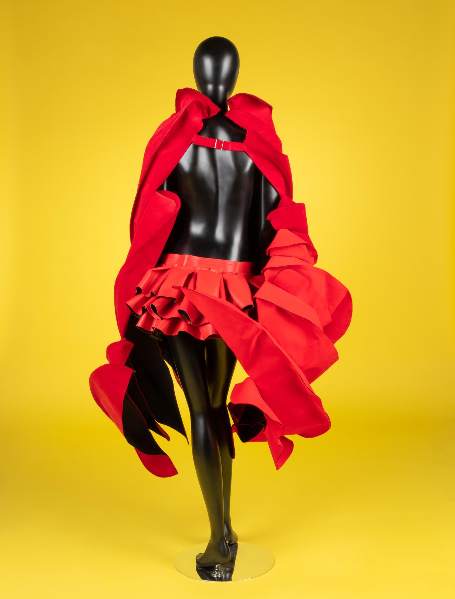 Comme des Garçons "Blood & Roses" Dress, Spring 2015