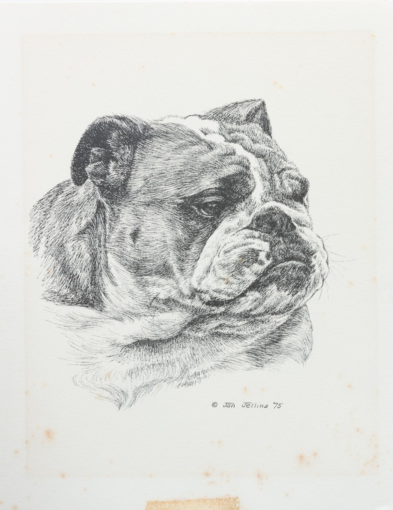 Three Works of Art depicting English Bulldogs Largest: 11 x 8 1/2 inches.