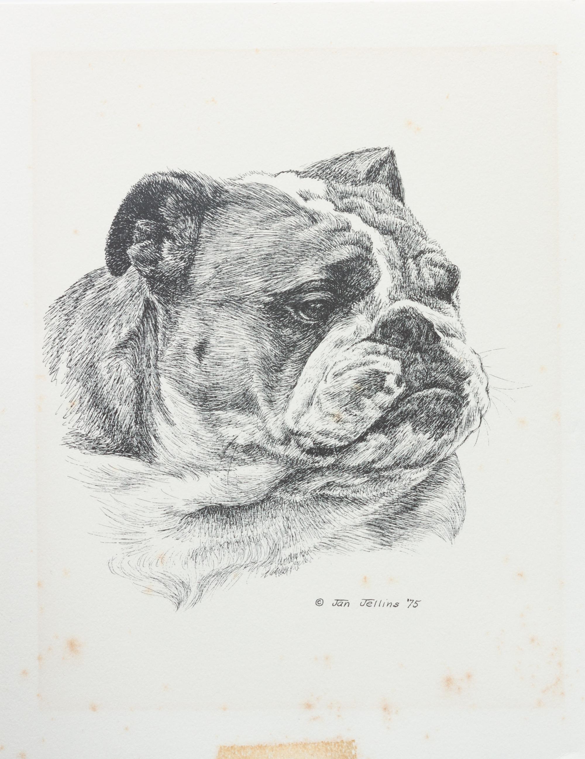 Three Works of Art depicting English Bulldogs Largest: 11 x 8 1/2 inches.